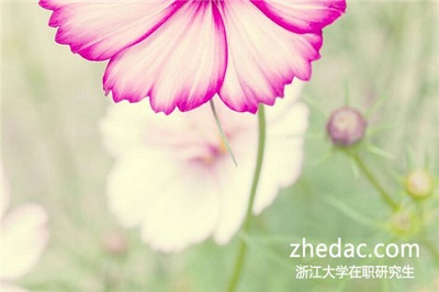 浙江大學同等學力申碩畢業后可以獲得畢業證書嗎? 浙江大學同等學力申碩畢業后可以獲得畢業證書嗎?