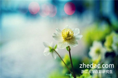 2018年報考浙江大學在職研究生有沒有用? 2018年報考浙江大學在職研究生有沒有用?