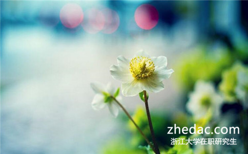 2018年浙江大學在職研究生在哪個網站報名? 2018年浙江大學在職研究生在哪個網站報名?